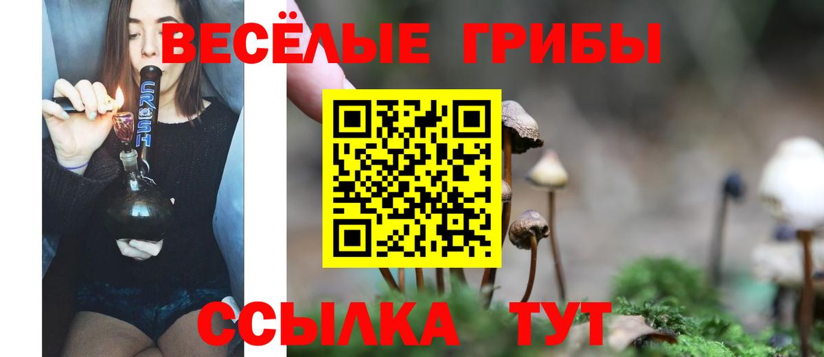 Галлюциногенные грибы мухоморы Выкса